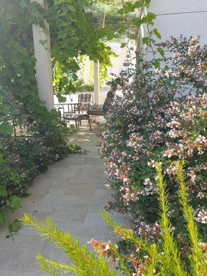 Abelia, Two Terraces, Hot Tub, Free Parking Apartamento Dubrovnik Exterior foto